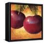 Luscious Cherries-Marco Fabiano-Framed Stretched Canvas