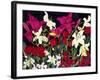 Luscious Lilies-Carissa Luminess-Framed Giclee Print