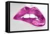 Luscious Pink-Sarah McGuire-Framed Stretched Canvas