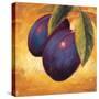 Luscious Plums-Marco Fabiano-Stretched Canvas