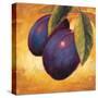 Luscious Plums-Marco Fabiano-Stretched Canvas