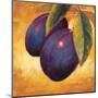 Luscious Plums-Marco Fabiano-Mounted Art Print