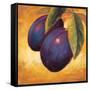 Luscious Plums-Marco Fabiano-Framed Stretched Canvas