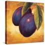 Luscious Plums-Marco Fabiano-Stretched Canvas