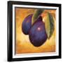 Luscious Plums-Marco Fabiano-Framed Art Print