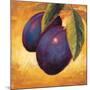 Luscious Plums-Marco Fabiano-Mounted Art Print