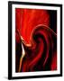 Luscious Red-Ruth Palmer 2-Framed Art Print