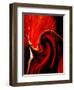 Luscious Red-Ruth Palmer 2-Framed Art Print