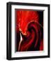 Luscious Red-Ruth Palmer 2-Framed Art Print