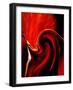 Luscious Red-Ruth Palmer 2-Framed Art Print