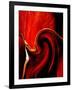 Luscious Red-Ruth Palmer 2-Framed Art Print