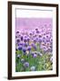 Lush Blooming Chives Field-cmfotoworks-Framed Photographic Print