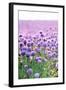 Lush Blooming Chives Field-cmfotoworks-Framed Photographic Print