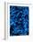 Lush Blue Lilies-Ruth Palmer-Framed Art Print