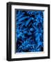 Lush Blue Lilies-Ruth Palmer-Framed Art Print