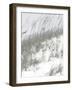 Lush Dunes IV-Sharon Chandler-Framed Art Print