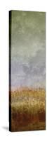 Lush Field II-John Butler-Stretched Canvas
