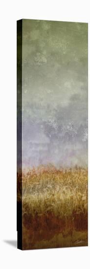 Lush Field II-John Butler-Stretched Canvas