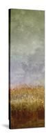 Lush Field II-John Butler-Stretched Canvas