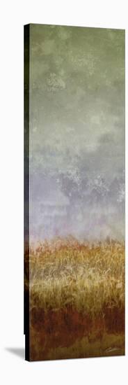 Lush Field II-John Butler-Stretched Canvas