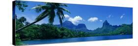Lush Foliage and Rock Formations, Moorea Island, Tahiti-null-Stretched Canvas