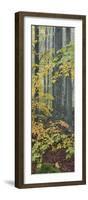 Lush Forest - Detail-Mikael Svensson-Framed Giclee Print