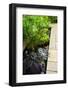 Lush Green Garden with Stone Landscaping and Koi Pond-elenathewise-Framed Photographic Print