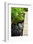 Lush Green Garden with Stone Landscaping and Koi Pond-elenathewise-Framed Photographic Print