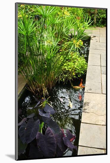 Lush Green Garden with Stone Landscaping and Koi Pond-elenathewise-Mounted Photographic Print