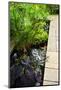 Lush Green Garden with Stone Landscaping and Koi Pond-elenathewise-Mounted Photographic Print