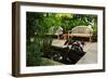 Lush Green Garden-elenathewise-Framed Photographic Print