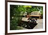 Lush Green Garden-elenathewise-Framed Photographic Print