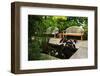 Lush Green Garden-elenathewise-Framed Photographic Print