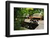 Lush Green Garden-elenathewise-Framed Photographic Print