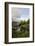 Lush greenery in June by the water in Bruges, Belgium-Susan Pease-Framed Photographic Print