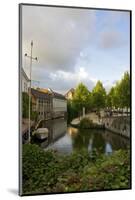 Lush greenery in June by the water in Bruges, Belgium-Susan Pease-Mounted Photographic Print