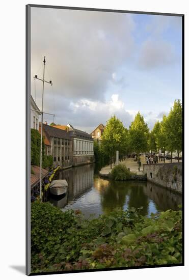 Lush greenery in June by the water in Bruges, Belgium-Susan Pease-Mounted Photographic Print