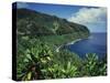 Lush Growth Along Coastline-James Randklev-Stretched Canvas