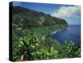 Lush Growth Along Coastline-James Randklev-Stretched Canvas