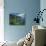 Lush Growth Along Coastline-James Randklev-Photographic Print displayed on a wall