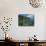 Lush Growth Along Coastline-James Randklev-Photographic Print displayed on a wall