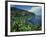 Lush Growth Along Coastline-James Randklev-Framed Photographic Print