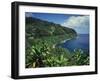 Lush Growth Along Coastline-James Randklev-Framed Photographic Print