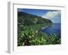 Lush Growth Along Coastline-James Randklev-Framed Photographic Print