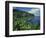 Lush Growth Along Coastline-James Randklev-Framed Photographic Print