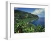 Lush Growth Along Coastline-James Randklev-Framed Photographic Print