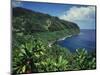 Lush Growth Along Coastline-James Randklev-Mounted Photographic Print