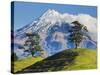 Lush hills in front of Mount Egmont-Jami Tarris-Stretched Canvas