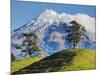 Lush hills in front of Mount Egmont-Jami Tarris-Mounted Photographic Print