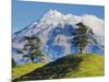 Lush hills in front of Mount Egmont-Jami Tarris-Mounted Photographic Print